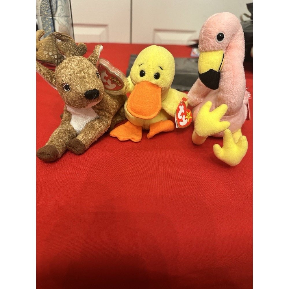Ty Beanie Babies Set Quakers Splits Roxie With Tags